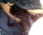 Sexo amateur con Lady en el taxi mamandola